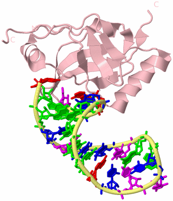 Image Biological Unit 2