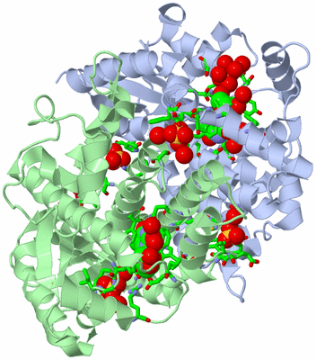 Image Biol. Unit 1 - sites