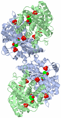 Image Biological Unit 2