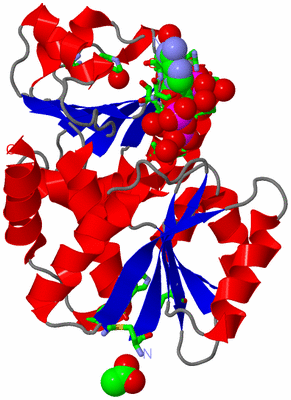 Image Asym./Biol. Unit - sites