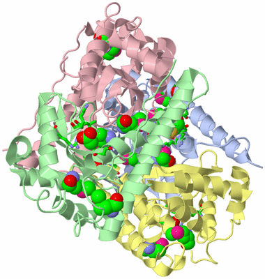 Image Biol. Unit 1 - sites