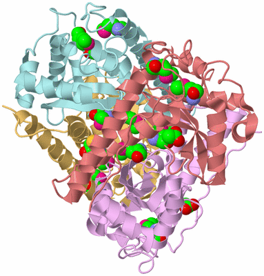 Image Biological Unit 2