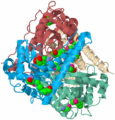 Image Biological Unit 3