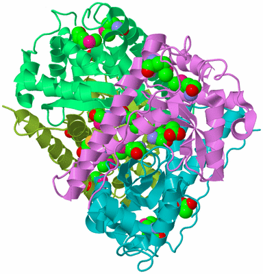 Image Biological Unit 4