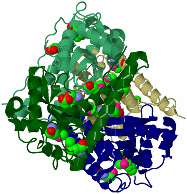 Image Biological Unit 5