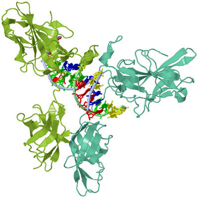 Image Biological Unit 1