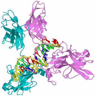 Image Biological Unit 2