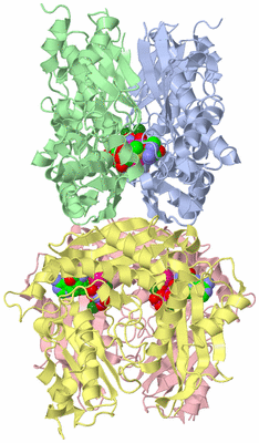 Image Asym./Biol. Unit