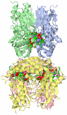 Image Asym./Biol. Unit - sites