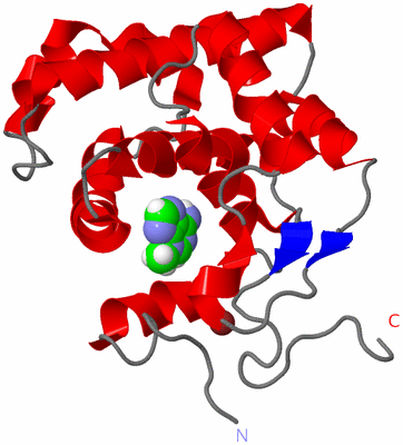 Image NMR Structure - model 1