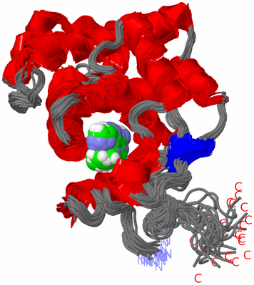 Image NMR Structure - all models