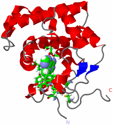 Image NMR Structure - model 1, sites