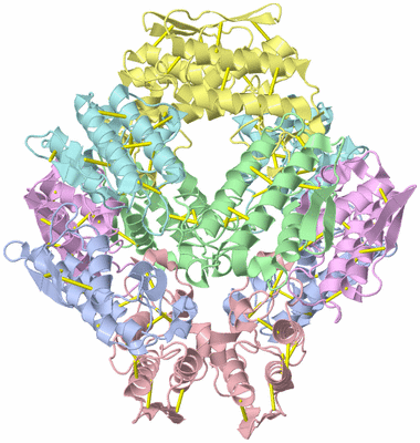 Image Biological Unit 1