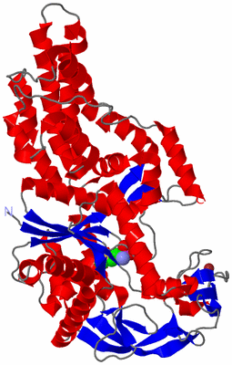 Image Asym./Biol. Unit