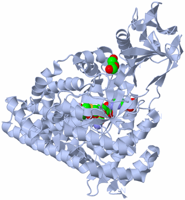 Image Biological Unit 1