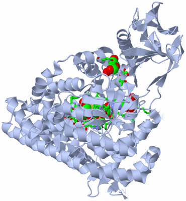 Image Biol. Unit 1 - sites