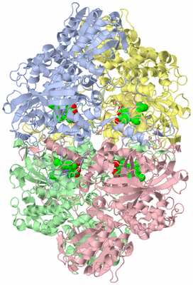 Image Asym./Biol. Unit