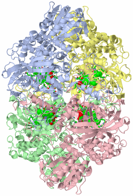 Image Asym./Biol. Unit - sites