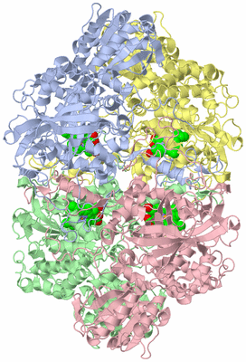 Image Asym./Biol. Unit