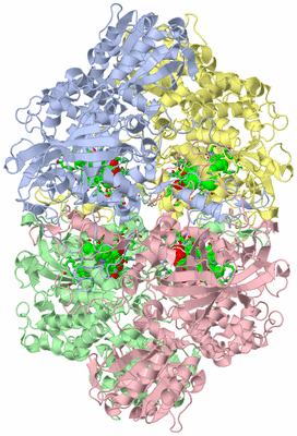 Image Asym./Biol. Unit - sites