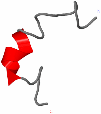 Image NMR Structure - model 1