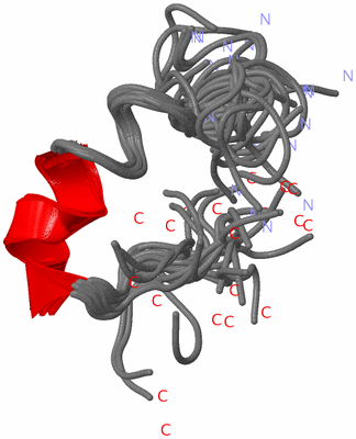 Image NMR Structure - all models