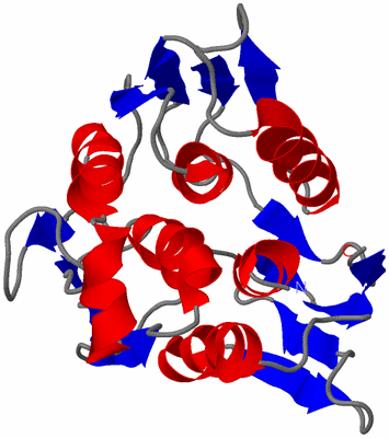 Image NMR Structure - model 1