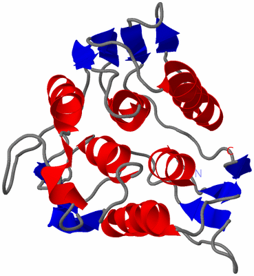 Image NMR Structure - model 1