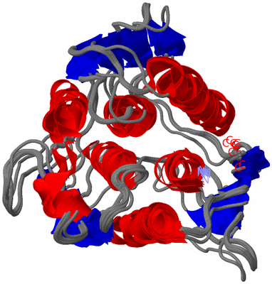 Image NMR Structure - all models