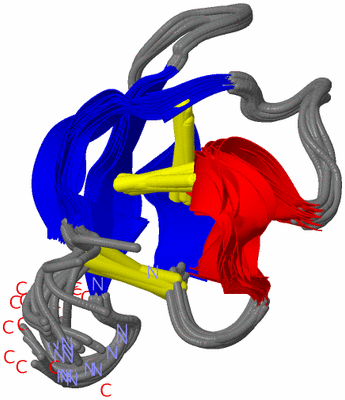 Image NMR Structure - all models