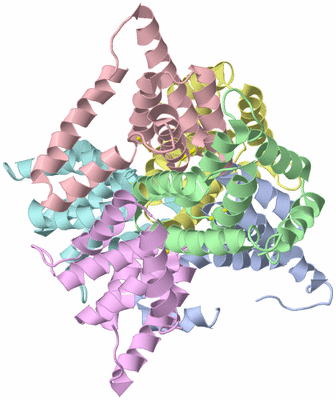 Image Asym./Biol. Unit
