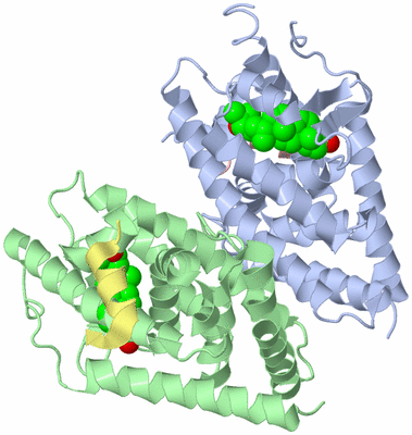 Image Biological Unit 3