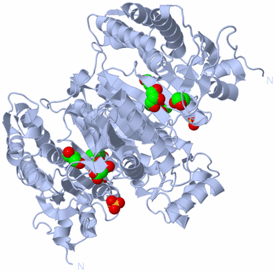 Image Biological Unit 1