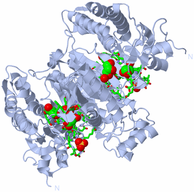 Image Biol. Unit 1 - sites