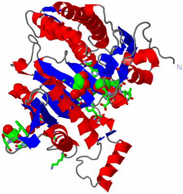 Image Asym. Unit - sites