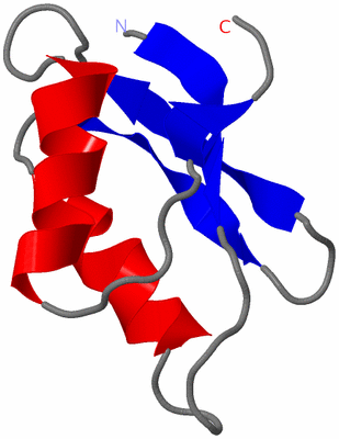 Image NMR Structure - model 1