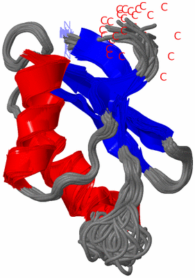 Image NMR Structure - all models