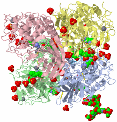 Image Biological Unit 1