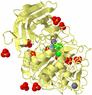 Image Biological Unit 10