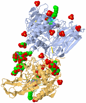 Image Biological Unit 11