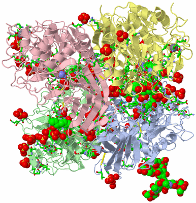 Image Biol. Unit 1 - sites