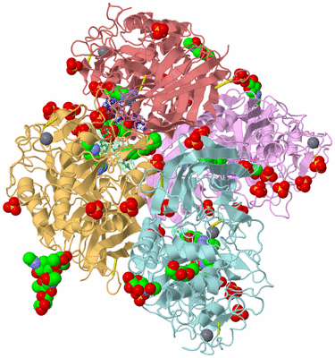 Image Biological Unit 2