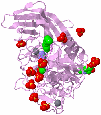 Image Biological Unit 3