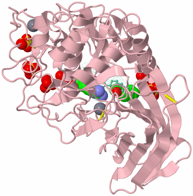 Image Biological Unit 4