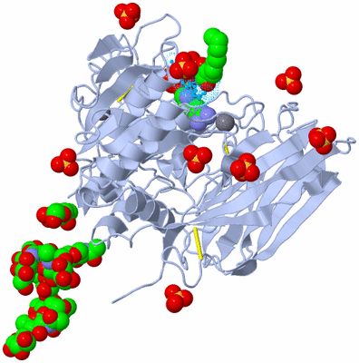 Image Biological Unit 5