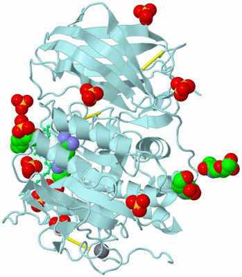 Image Biological Unit 6