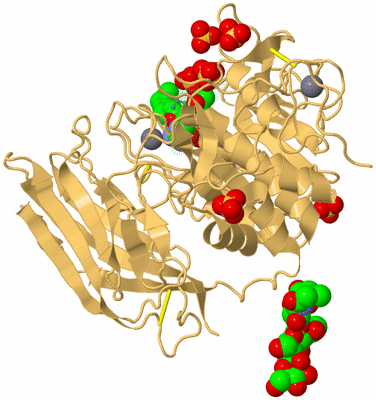 Image Biological Unit 7