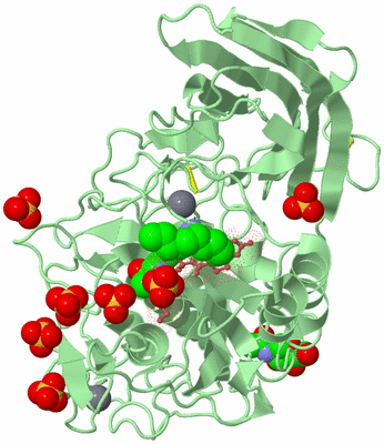 Image Biological Unit 8