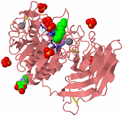 Image Biological Unit 9