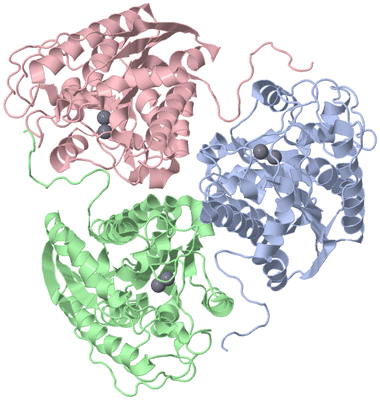 Image Asym./Biol. Unit